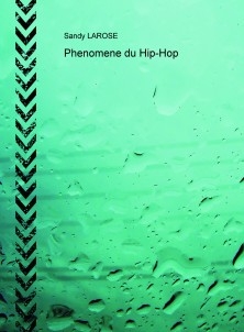 Phenomene du Hip-Hop