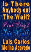 Livre Is There Anybody Out The Wall, auteur Luis Carlos Molina Acevedo Livre Is There Anybody Out The Wall, auteur Luis Carlos Molina Acevedo