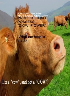 English (PLUS) Professional Language User Solutions - BOOK #5 - PROFESSIONALS POSSESS "C:OW P:OWER" (What the heck is that?)
