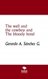 The well and the cowboy and the bloody hotel