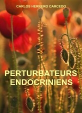 libroprimero.H_TITLE}