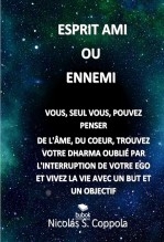ESPRIT AMI OU ENNEMI ESPRIT AMI OU ENNEMI