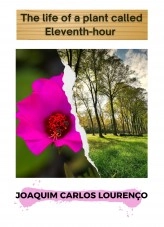 Livre The Life of a Plant Called Eleventh-Hour, auteur Joaquim Carlos Lourenço Livre The Life of a Plant Called Eleventh-Hour, auteur Joaquim Carlos Lourenço